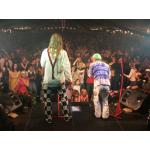 14-09-2008 - sperber - remmi_demmi - DSCF3203.JPG